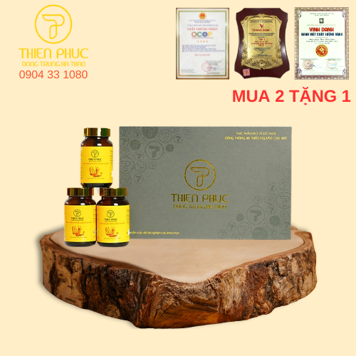 Đông trùng hạ thảo con khô 15g Thiên Phúc bổ thận, bổ phổi, tăng cường sức đề kháng