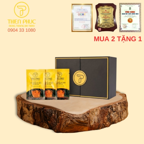 Đông trùng hạ thảo quả thể khô sấy đối lưu 20g Thiên Phúc