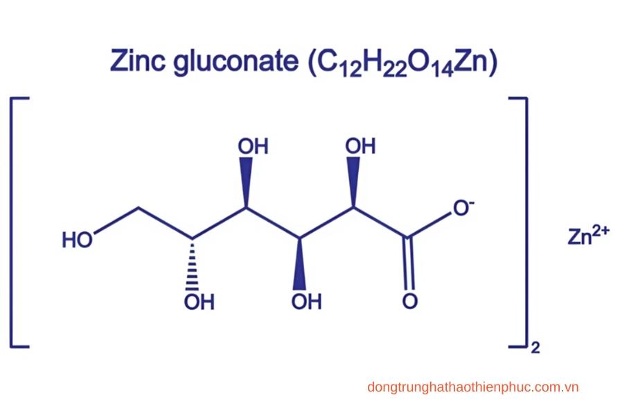 Viên bổ thận Banikha Thiên Phúc hỗ trợ sức khỏe với Kẽm Gluconate