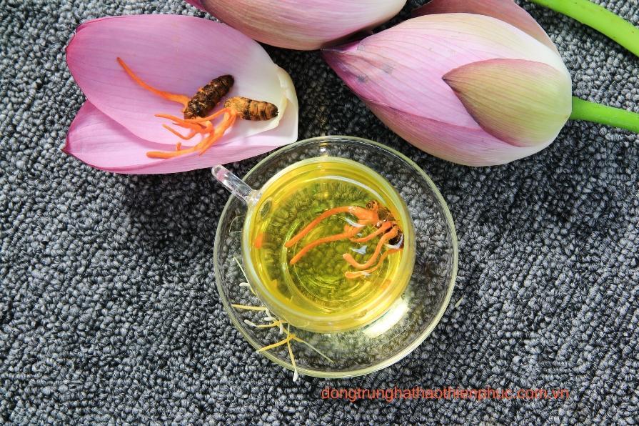 Đông trùng hạ thảo làm quà 20/10 cho mẹ – món quà sức khỏe thiết thực