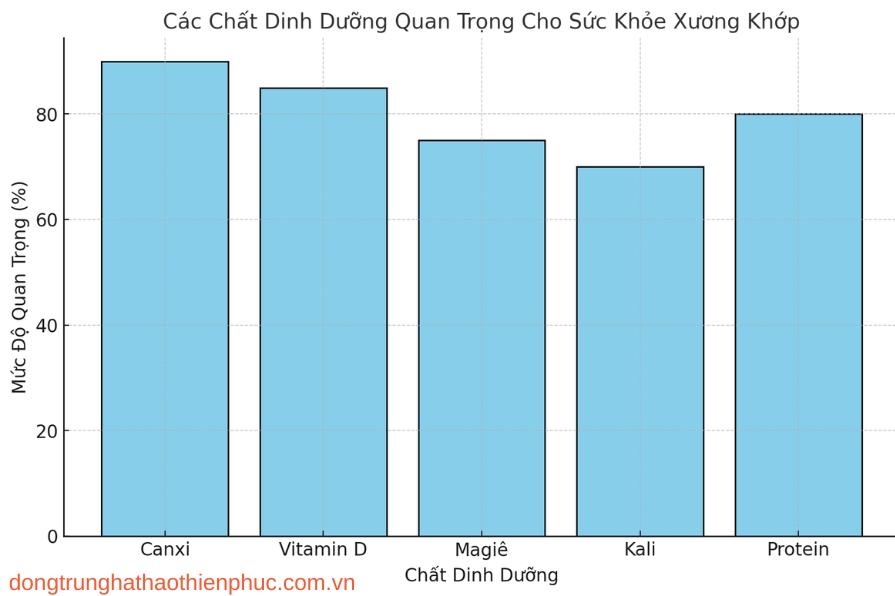 Các chất dinh dưỡng quan trọng cho sức khỏe xương khớp