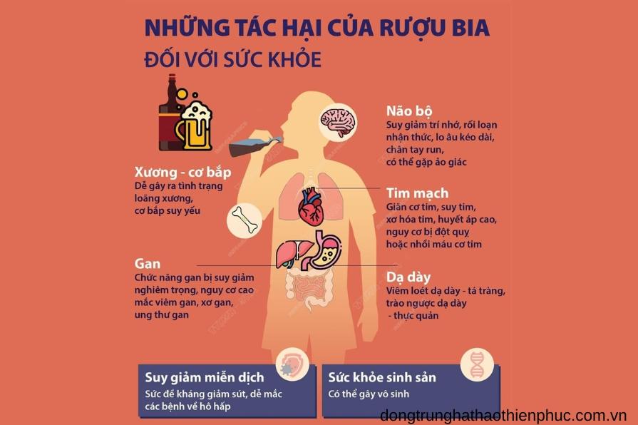Tác hại của bia rượu đối với sức khỏe nam giới
