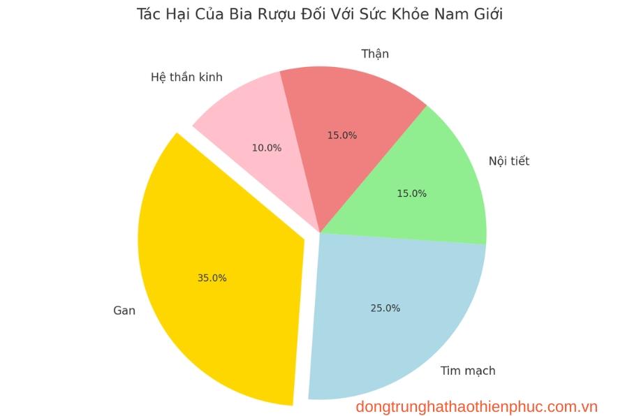 Tác hại của bia rượu đối với sức khỏe nam giới