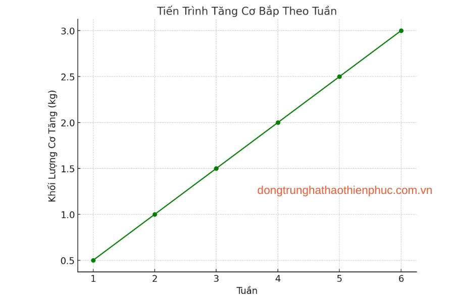 Tiến trình tăng cơ bắp của nam giới qua từng tuần tập luyện