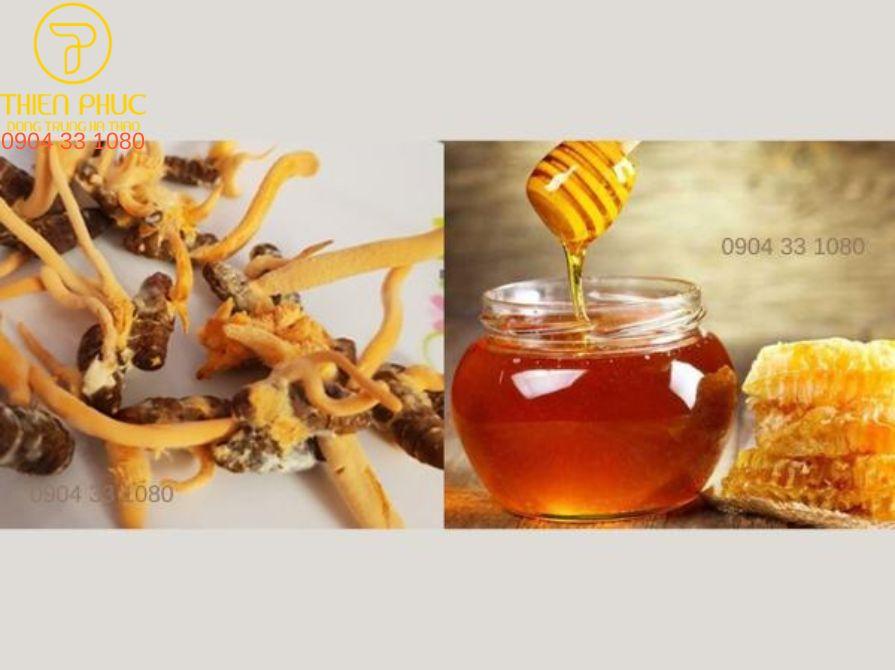 Đông trùng hạ thảo ngâm mật ong