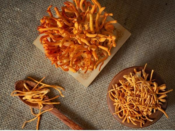 Uống đông trùng hạ thảo đúng cách để đạt hiệu quả tốt nhất