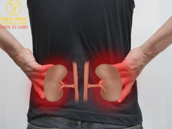 Viên bổ thận Banikha Thiên Phúc chính hãng hỗ trợ chức năng thận và tăng cường sinh lực