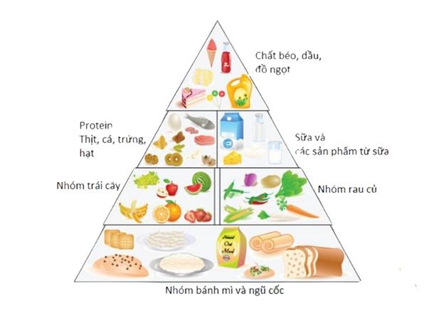 Chế độ ăn uống đầy đủ dinh dưỡng