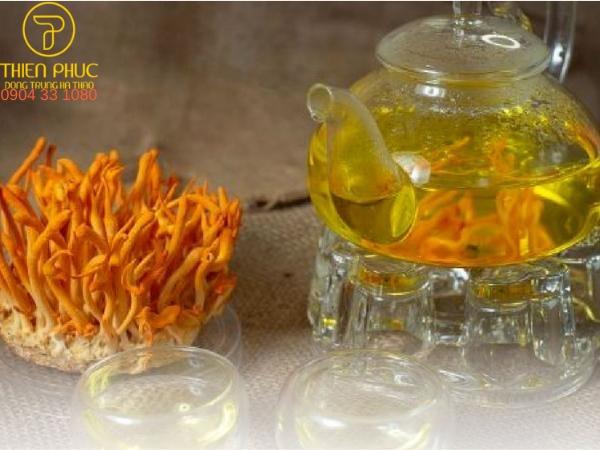 Dùng trực tiếp đông trùng hạ thảo pha nước ấm