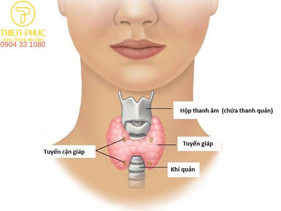 Tỷ lệ chữa khỏi ung thư tuyến giáp lên đến 90% khi phát hiện sớm