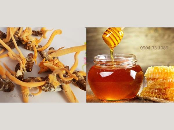 Đông trùng hạ thảo ngâm mật ong