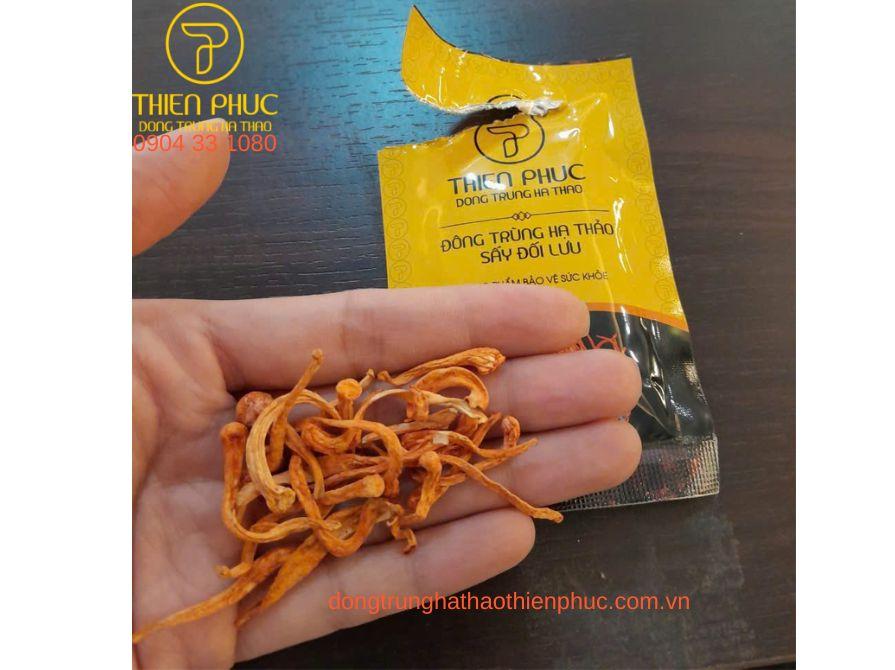 Đông trùng hạ thảo khô chính hãng Thiên Phúc