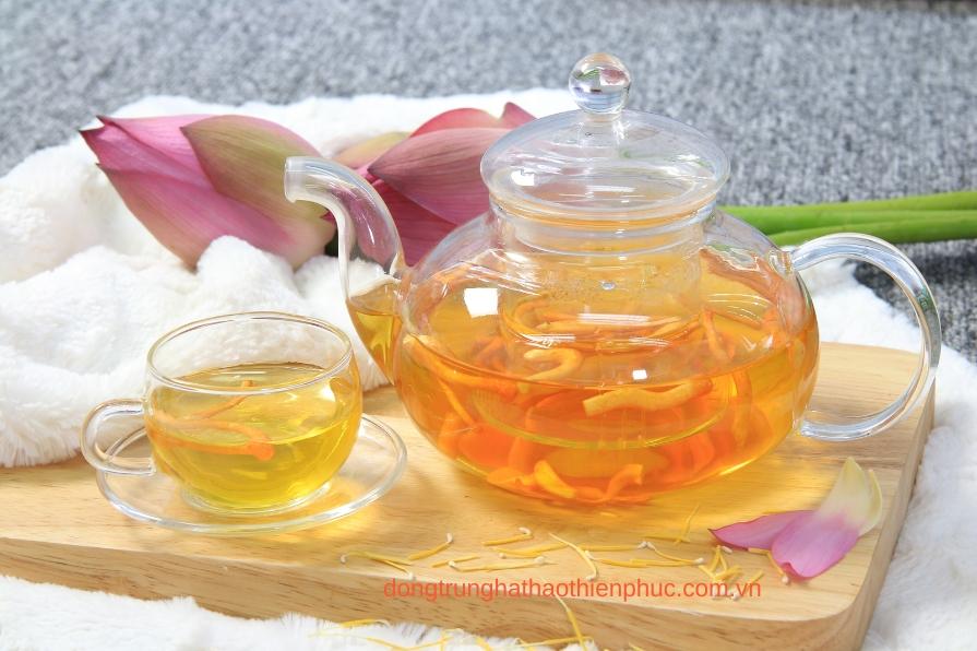 Pha trà đông trùng hạ thảo sợi quả thể sấy lạnh