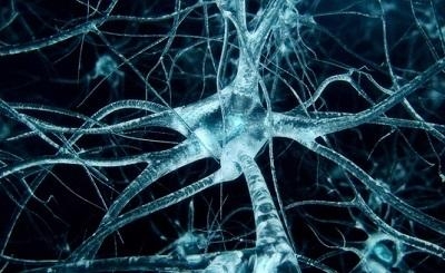 Lão hóa thần kinh có thực sự nguy hiểm không? Nguyên nhân, triệu chứng và cách phòng ngừa