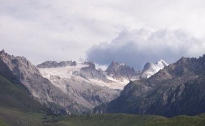 Truyền thuyết về Đông trùng hạ thảo - Thảo dược quý giúp duy trì sức khỏe và kéo dài tuổi thanh xuân