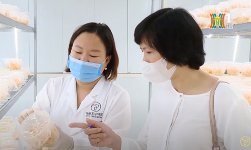 Vươn lên từ khát khao làm nông nghiệp công nghệ cao